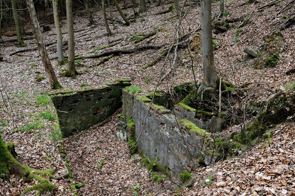 Mauerreste im Bullerbachtal