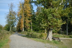 Wege im Deister