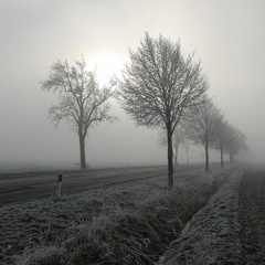 Rauhreif im Nebel auf der verlängerten Rehrbrinkstraße (L 392)