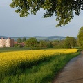 Der Weg vom Beerbeekenplatz in Richtung Egestorf