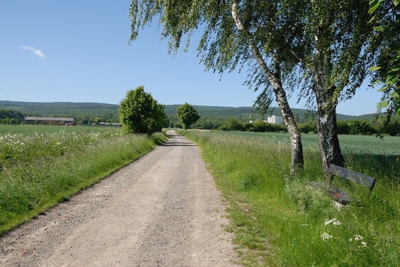 Die Feldmark östlich von Egestorf