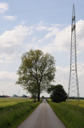 Größenverhältnis