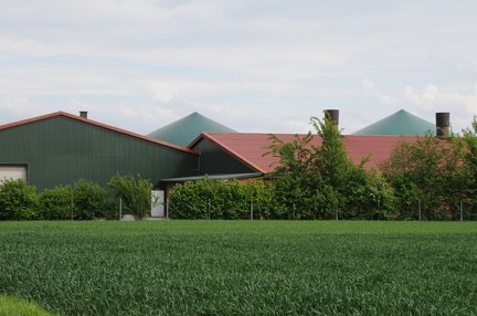 Die neue "Bauernhof-Architektur"