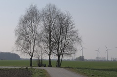 Bank bei Landringhausen