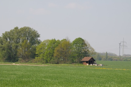 Feldmark bei Landringhausen