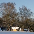 Winter Am Rehpfad