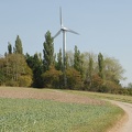 Paradies