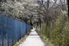 Radweg zwischen Goltern und Barsinghausen