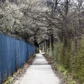Radweg zwischen Goltern und Barsinghausen
