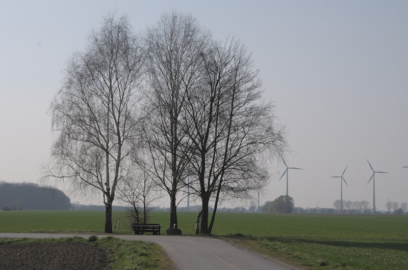 Bank bei Landringhausen